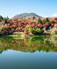 ������ϼ�ӹŵ�ͽ��