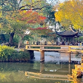 �����ǽ���