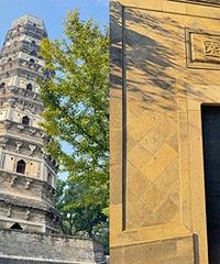 ���������Σ����������ԣ������߾Ͷ���