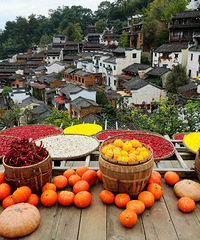 ������ɹ���ũ��ϼ���ӵ��������