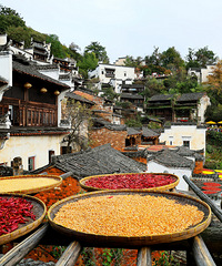 ������ɹ���ũ��ϼ���ӵ��������