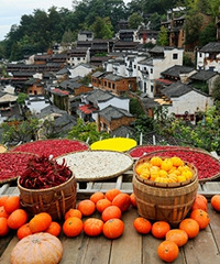 ������ɹ���ũ��ϼ�