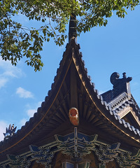 ��ǰ�������Ծ�������Ů