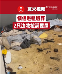 �������⣬����2ֻ����������ʺ