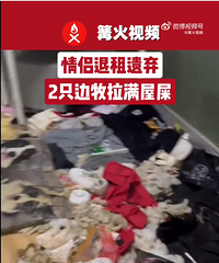 �������⣬����2ֻ����������ʺ