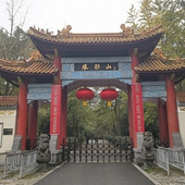 ����ͤ����������