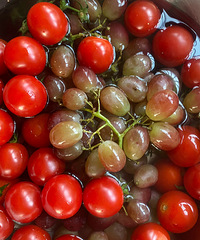 ˮ���ű�����ʮ����Ϊʲô���Ǻ����ʣ�