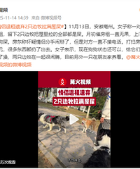 2ֻ����������ʺ