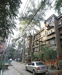 ס�����¹����