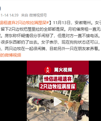 �������⣬����2ֻ����������ʺ