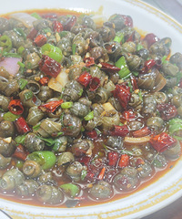 һֱ˵Ҵ˺ܺóԣ򿨹ˣо