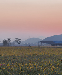 ��������̫���������˶���ů��