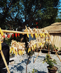 ����᮵�������СԺɹ������