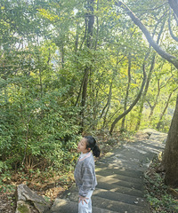 һ��ֻ�������ΰ���ɽ������������������ȥ��