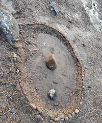 [̨������]��ţβ��ץ�з�����������պ���