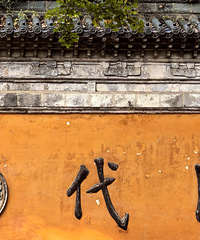 ˵�߾��ߵ�ͽ����100 + ���ѣ�����ϼ�͹ŵ�������