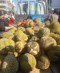 [���]������8Ԫһ�������������Ӳ�׼���⻹�ǰ�ɫ��