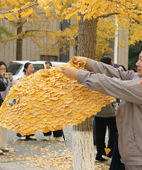 ȫ��ˢ����������ɡ����Ȧ����Щ������ʾ��