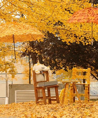 ȫ��ˢ����������ɡ����Ȧ����Щ������ʾ��