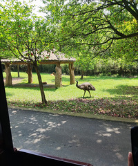 ����Ұ������԰һ���Σ��Լݽ�ȥ��ʡ�ܶ�����