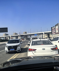 �����������