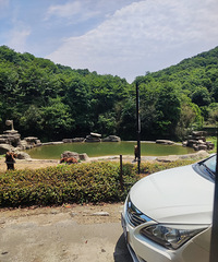 ����Ұ������԰һ���Σ��Լݽ�ȥ��ʡ�ܶ�����