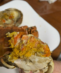 Ʒ�ʲ�������ֻһ�У���ֻ�������İٰ�