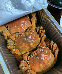 Ʒ�ʲ�������ֻһ�У���ֻ�������İٰ�