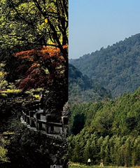 ����ϼ�͹ŵ�������ͽ��������