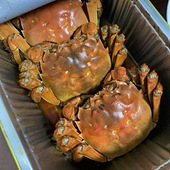 Ʒ�ʲ�������ֻһ��