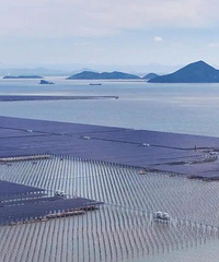 ̨����Ƭ���������������6�²�������