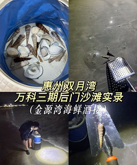 ��2025�μǡ���ҹ�Ϻ��������У�ɳ̲���Ƕ���������ʿ