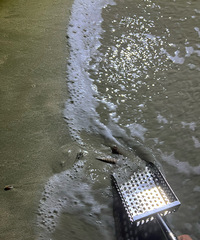 ��2025�μǡ���ҹ�Ϻ��������У�ɳ̲���Ƕ���������ʿ