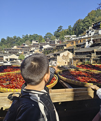 ȥ����ɹ�������ǽ���۾�̨��ɹ���λ�ܳ�Ƭ