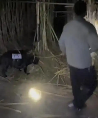 �˺͹�����̱�ˣ�9.9Ԫ�ġ�͵���ᡱ�����ϰ壺����е�ʧ��