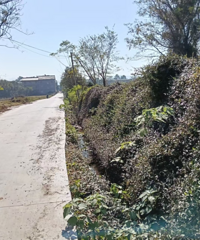 �޵��Ŀ����̨����ǧĶ�����ʡ�����