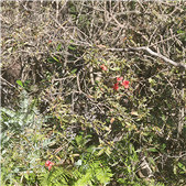 �����ž黨�þ�ϲ