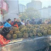 �򿨳��������