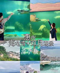 ����ȥ����˫���� + �����壡��ͨ / ���� / �ܿ�ȫ����