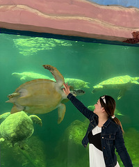 ����ȥ����˫���� + �����壡��ͨ / ���� / �ܿ�ȫ����