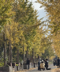 ����Ҫ��һ�꣡��̨����·�������������������