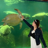 �Ժ���û��Ȥ����