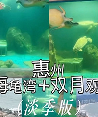 ���ݺ�����+˫����۾����湥�ԣ������棩