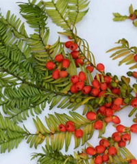 ̨��һŮ�Ӷ��������ͣ�������ǡ�ֲ������è��