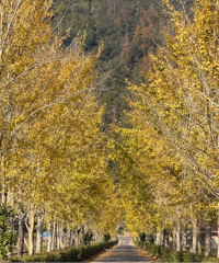 ����Ҫ��һ�꣡��̨����·�������������������