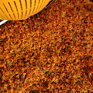 ̫������