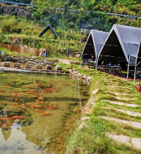 ����Ұ����