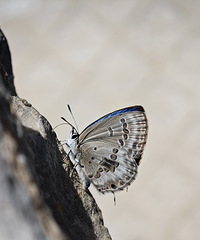 �������ҵ�