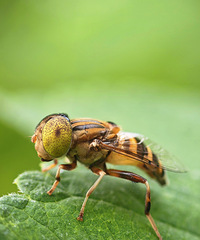 ���ֳ�����һ��