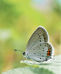 �������ҵ�